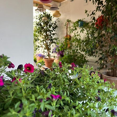 Suite Battisti 7 Lecce Zewnętrze zdjęcie