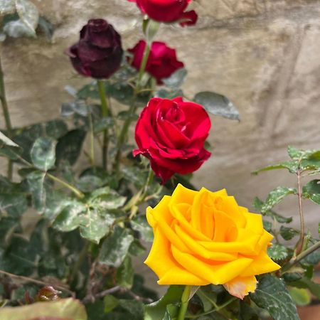 Suite Battisti 7 Lecce Zewnętrze zdjęcie
