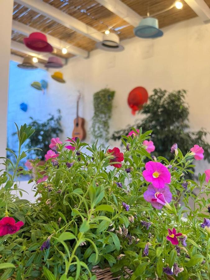 Suite Battisti 7 Lecce Zewnętrze zdjęcie