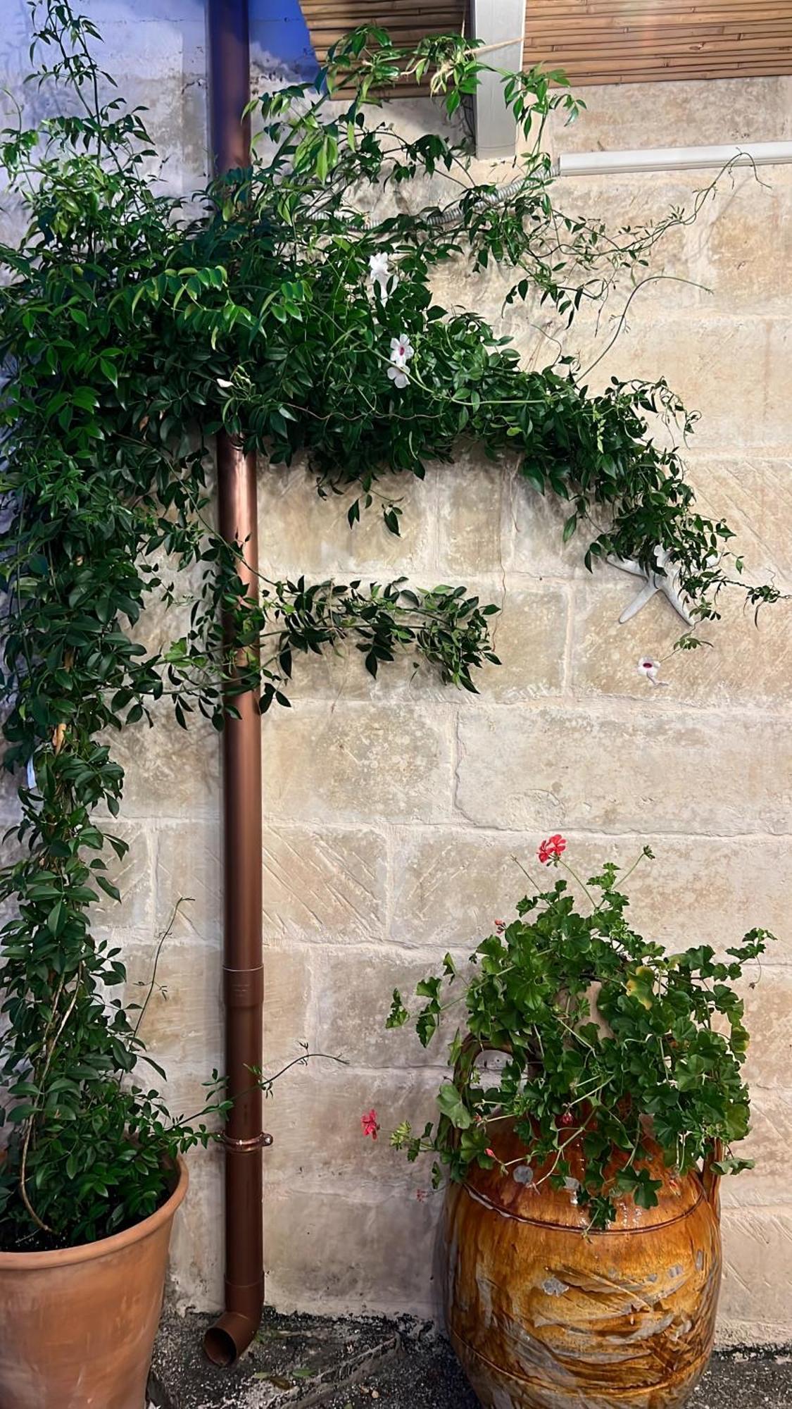 Suite Battisti 7 Lecce Zewnętrze zdjęcie