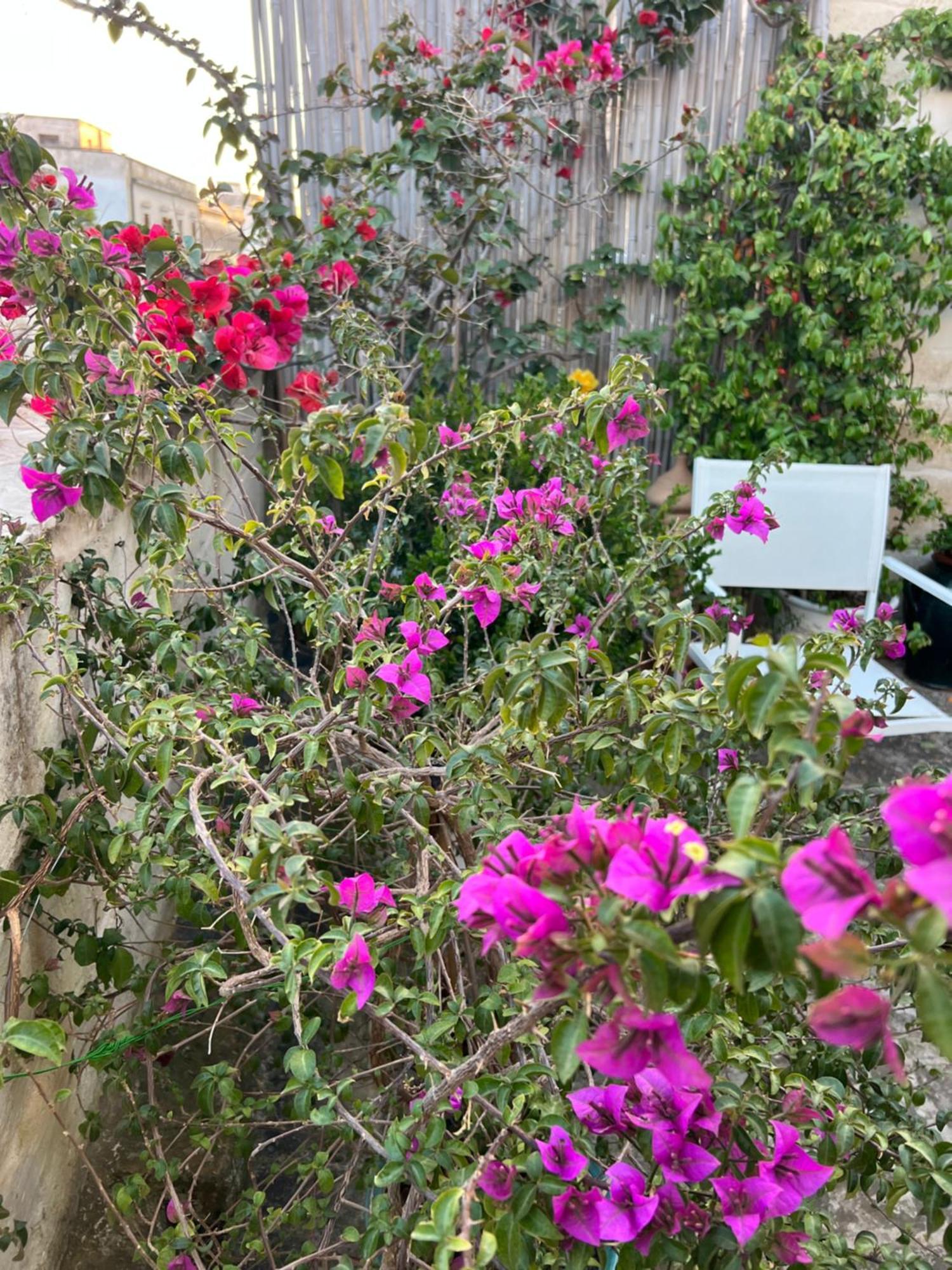 Suite Battisti 7 Lecce Zewnętrze zdjęcie