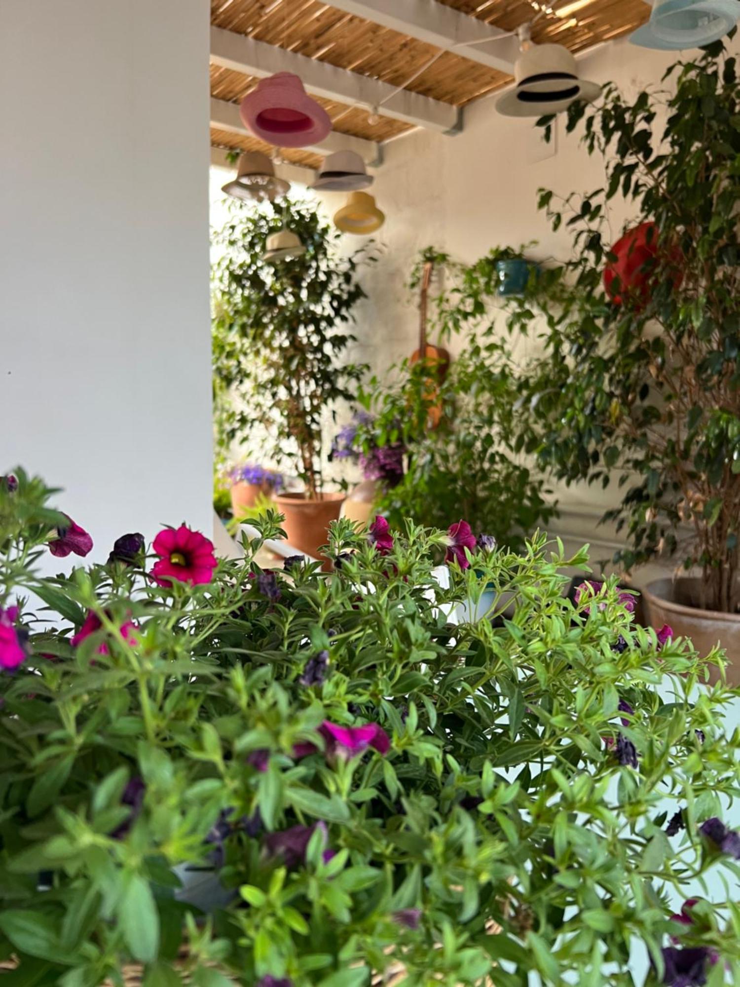 Suite Battisti 7 Lecce Zewnętrze zdjęcie